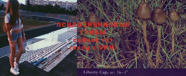 мдма Пересвет
