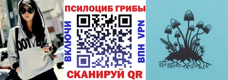 Купить где  Североморск  Псилоцибиновые грибы мухоморы 